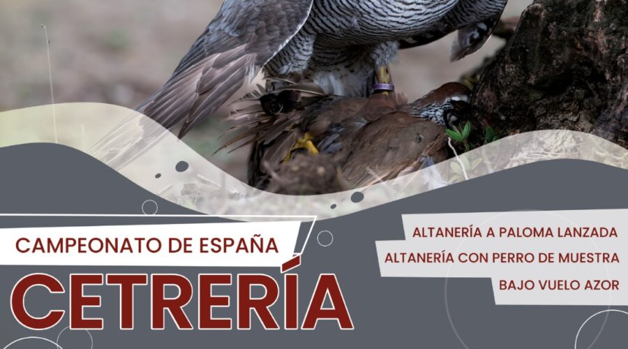 Llerena recibirá a los mejores cetreros nacionales para las especialidades de altanería y bajo vuelo azor